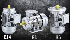 立式三相異步電動機是什么樣的_上海生產(chǎn)廠家(馭典重工)